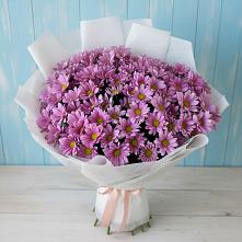 Букет сиреневая охапка в Звенигороде Букет цветов из:  Хризантемы в Звенигороде