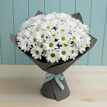 Букет цветов из:  Хризантемы в Звенигороде