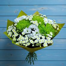 Букет скромность  в Звенигороде Букет цветов из:  Хризантемы в Звенигороде