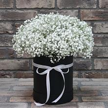 Цветочная композиция из Гипсофила в шляпной коробке #REPLACE_PRED# Звенигороде
